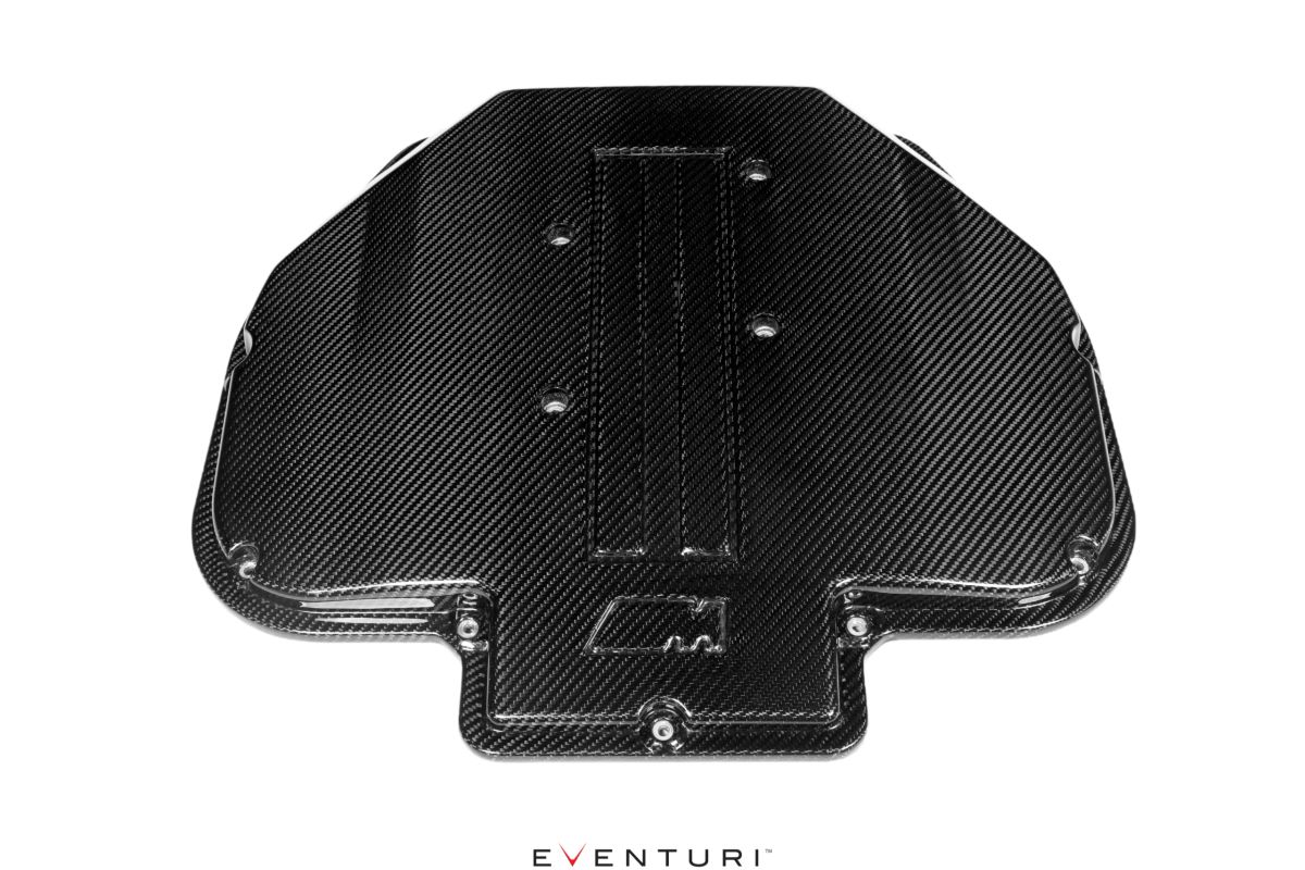 Eventuri BMW S62 Plenum lid