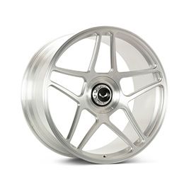 Vossen GEN-02